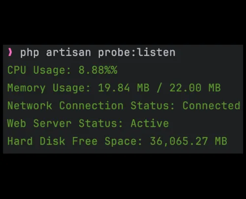 Laravel Probe Monitoring project preview